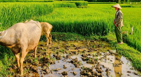 Panoramic view of Muang Xay’s northern scenery for a scenic Muang Xay Tours banner by Legend Travel Group.